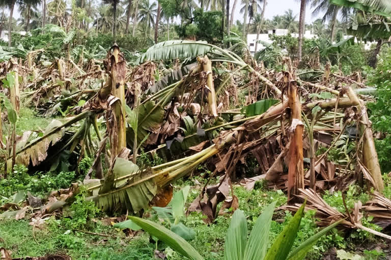 havy rains in visakha