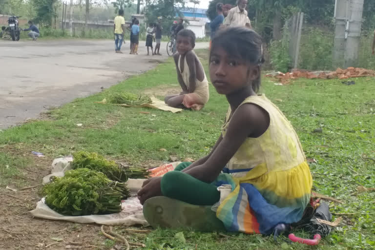 amid lockdown kids sell herbs to sustain living