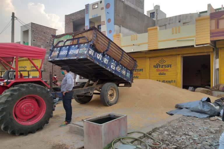 छबड़ा में तहसीलदार कार्रवाई,  Tehsildar action in Chhabra