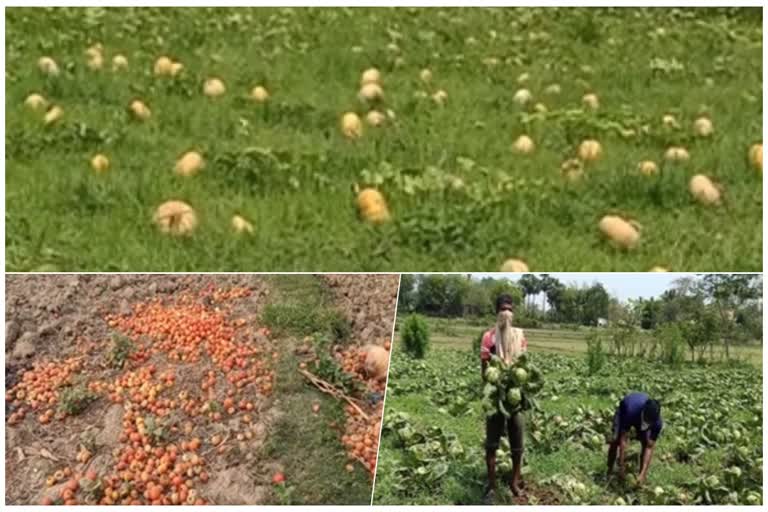 vegetable-farmers-faceing-various-problems-during-lockdown