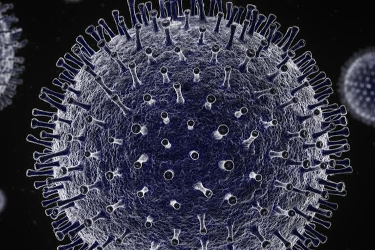 corona virus