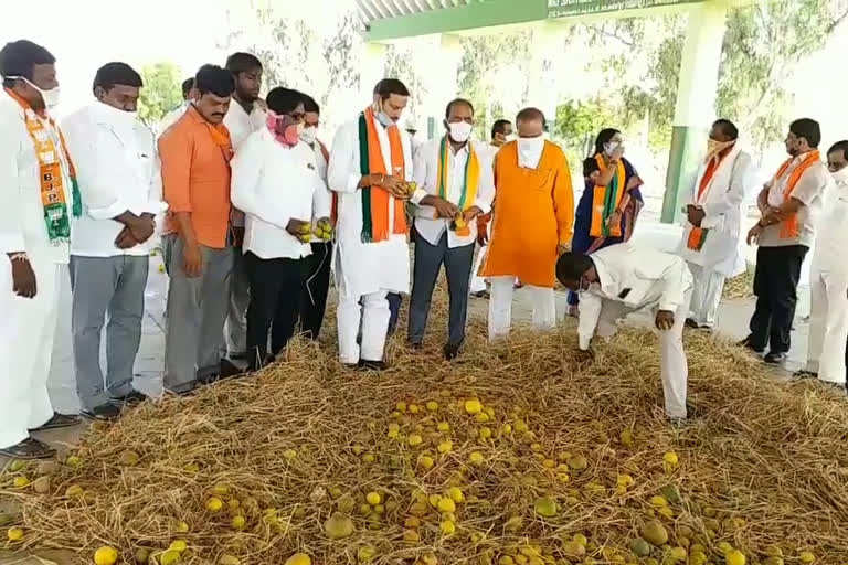 Bjp leaders on orange formers