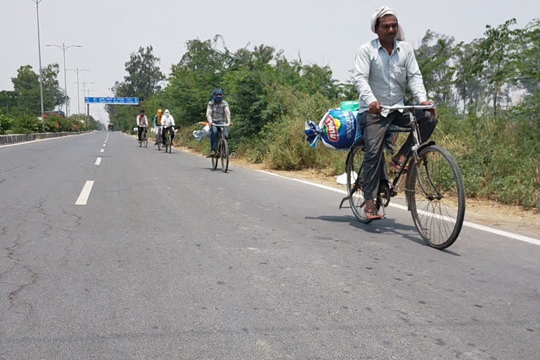 Lockdown: Migrant labourers travel 750 km by bicycle