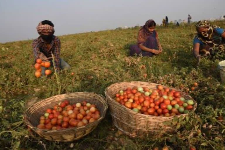 সাহায্য অবিহনে ক্ষতি কৰিব খেতিয়কক