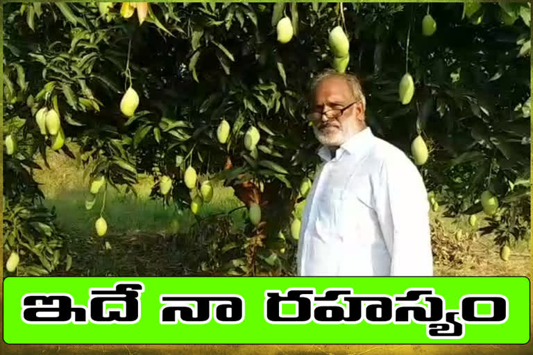 సేంద్రియ ఎరువులతో అధిక దిగుబడి సాధిస్తున్న రైతు