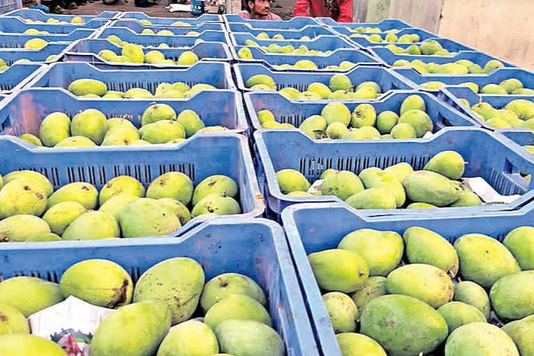 Make a call for a Mango: Telangana Horticulture Departments New Plan