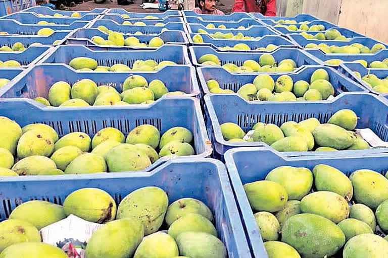 Telangana government arranged home delivery Mango