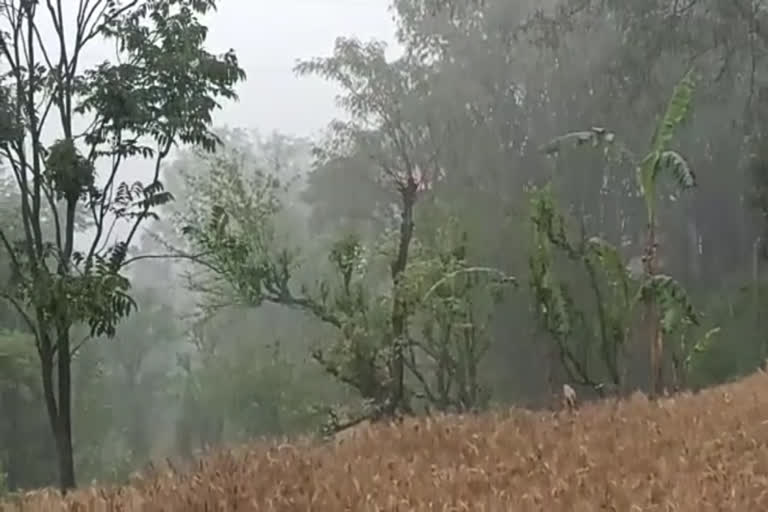 Hailstorm in Bhoranj