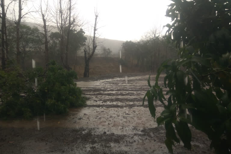 rain fall in pune