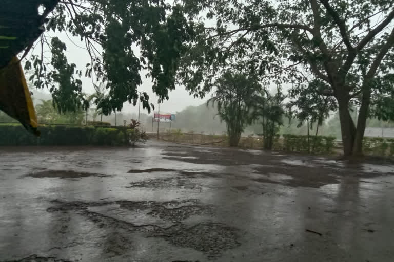 meteorological department has forecast rains in Ratnagiri district for the next two days