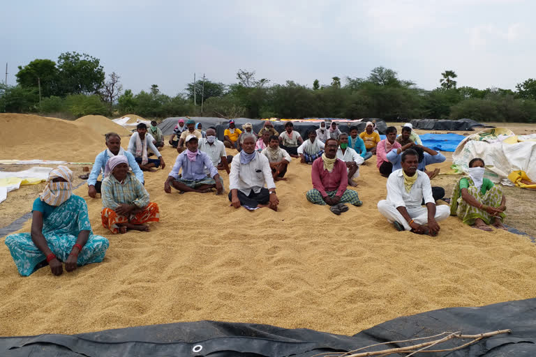 mouna deeksha at paddy purchase center in siddipet district