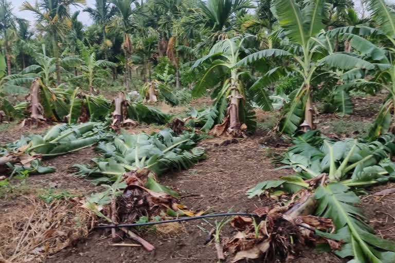 heavy rain in haveri district