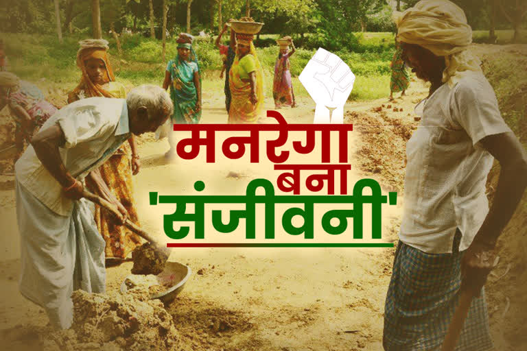 18 lakh laborers got work under mgnrega in chhattisgarh