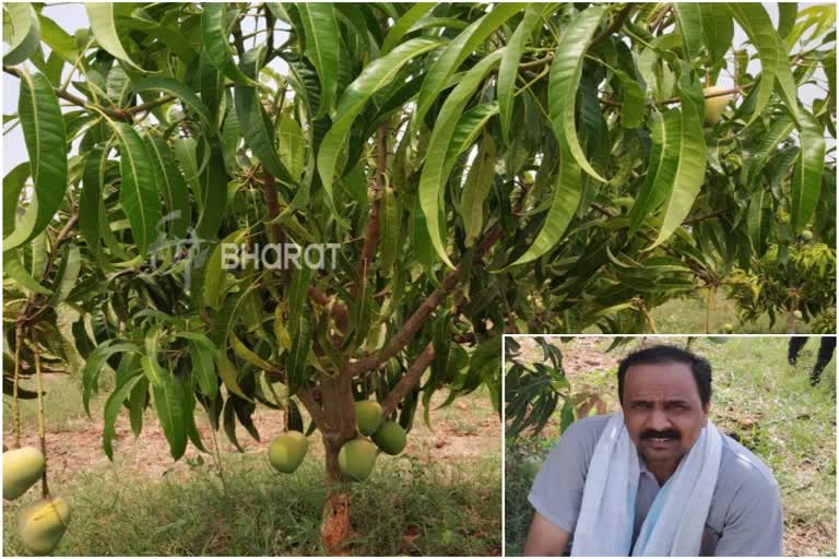 ಲಕ್ಷ ವಹಿವಾಟು ನೀರಿಕ್ಷೆ