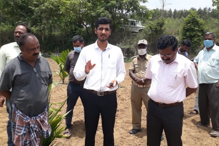 Farmers who destroyed the crop for not getting a good price for the chilli crop