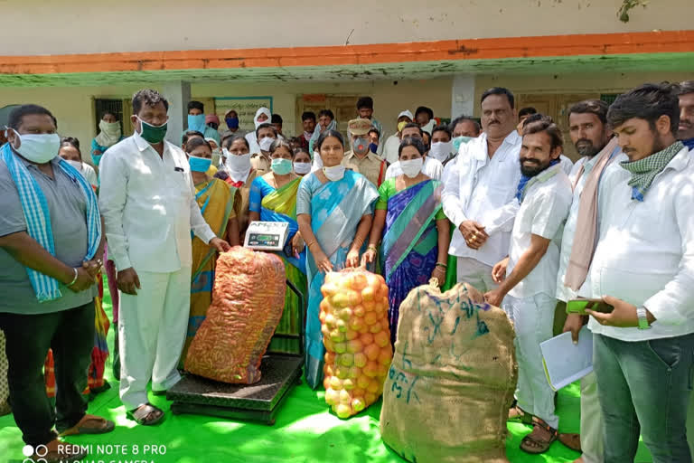 MLA HARIPRIYA DISTRIBUTED VEGITABLES