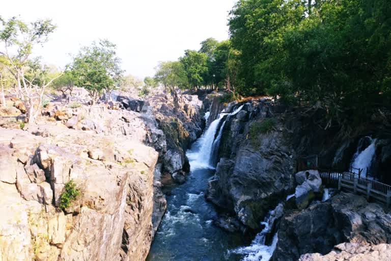 dharmapuri.hoganakkal  ஒகேனக்கல்லில் நீர்வரத்து அதிகரிப்பு  ஒகேனக்கல் நீர்வரத்து  ஒகேனக்கல்லில் மழை  Hogenakkal High Water Flow  Hogenakkal Water Flow  Hogenakkal Raining