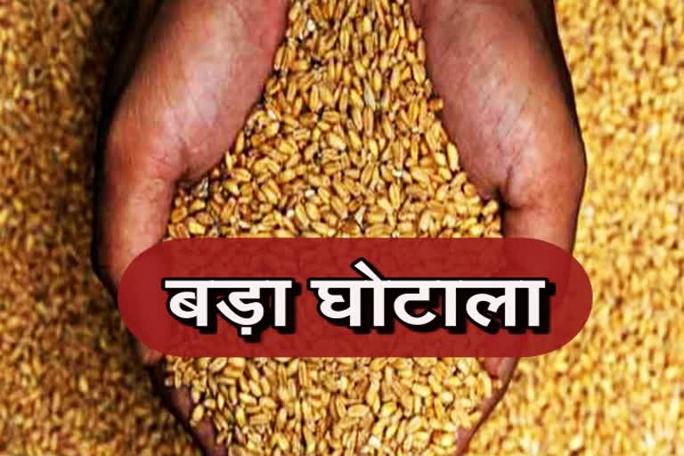 कोटा खाद्य सुरक्षा घोटाला, कोटा की खबरें  राजस्थान हिंदी न्यूज, rajasthan news in hindi, kota news, food scheme scandal