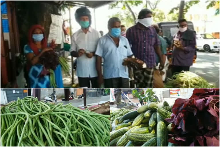 helping farmers  ഫാം ഗ്രീന്‍സ്  കൈതമുക്ക് നാട്ടുചന്ത  vegetable market  കൃഷി വകുപ്പ്  കർഷക വിപണി  ഐഎംഎ