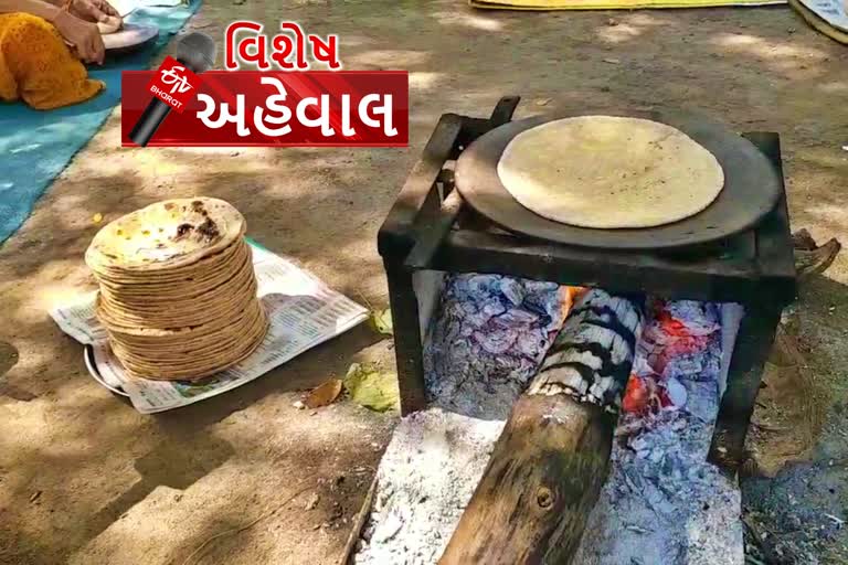 કોરોના મહામારીની વચ્ચે જૂનાગઢની મહિલાઓ ચલાવી રહી છે જઠરાગ્નિ ઠારવા માટેનો મહાયજ્ઞ