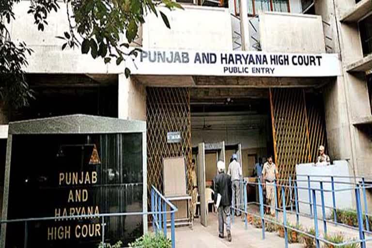 punjab and haryana high court