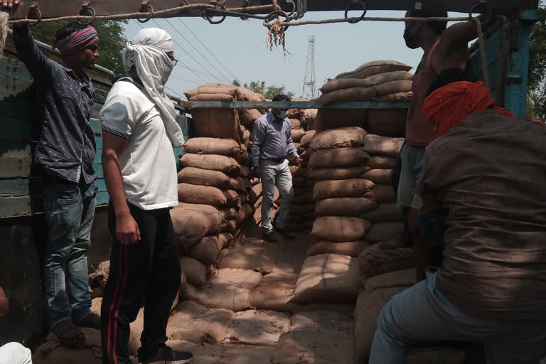 600-katta-mahua-seized-in-balodabazar