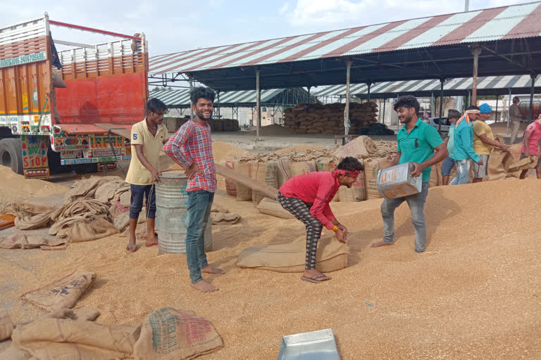 Hammali laborers working in Mandi to feed