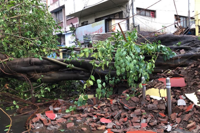 Untimely rain fell in Pune city