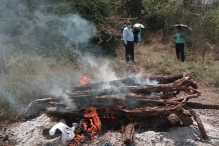 Leopard dead by rescued Kanan in bilaspur