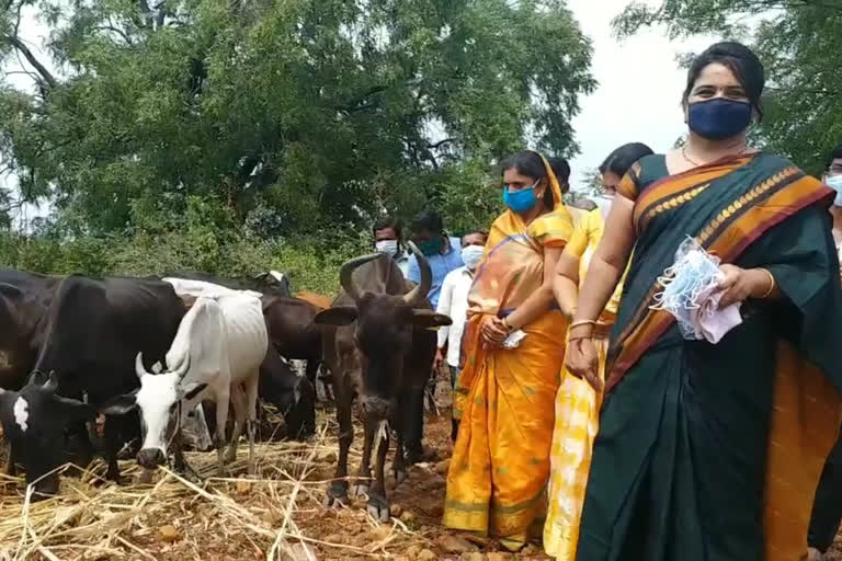 Lockdown: Fodder Supply by Women Leaders for Goshalas ...!