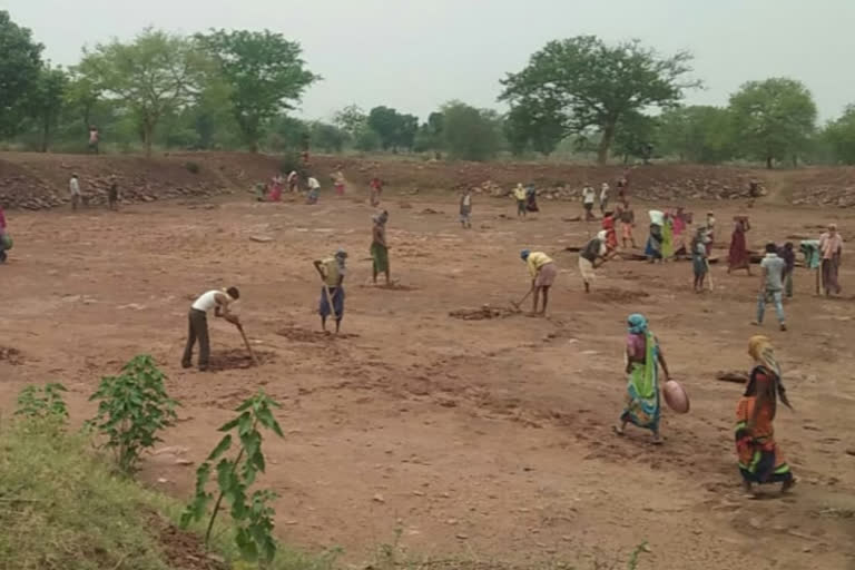 mgnrega-is-getting-employment-in-the-village-in-raigarh