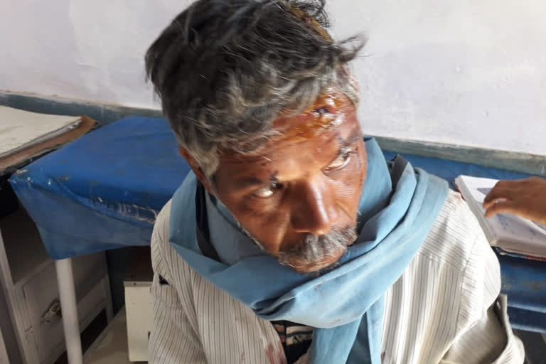 Farmer injured due to leopard attack in chhatarpur