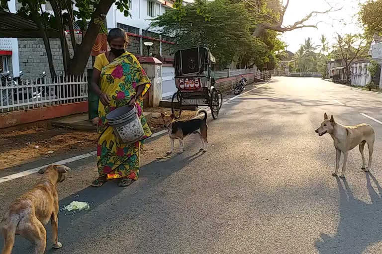 women giving food to animals at vijyanagaram