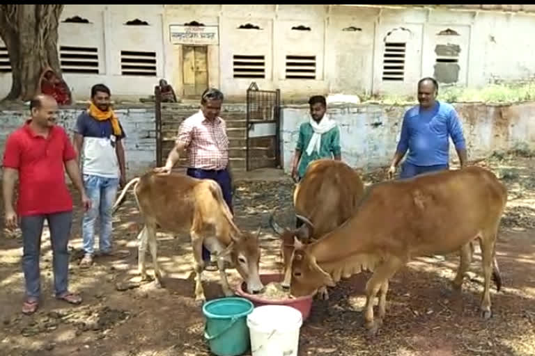 Foundation Day of Jain Milan was celebrated in Shivpuri