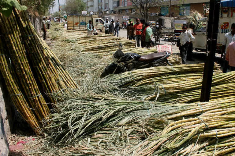 چینی کی فروخت میں کمی سے کسانوں کی پریشانیاں جاری