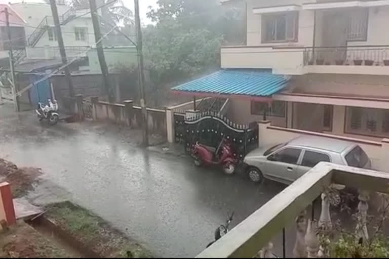 Heavy rainfall at part of Chikkamagaluru: agricultural activities got life