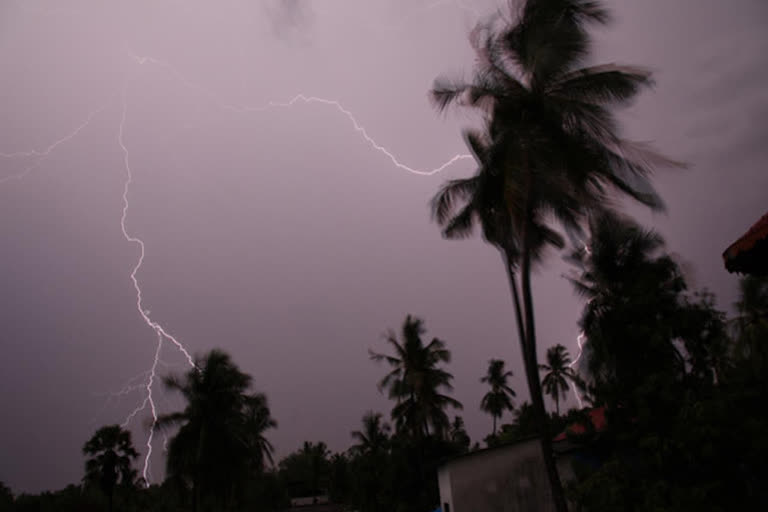 വയനാട്  Wayanad.  ഇടിമിന്നലേറ്റ് മരിച്ചു  thunderstorm in Wayanad