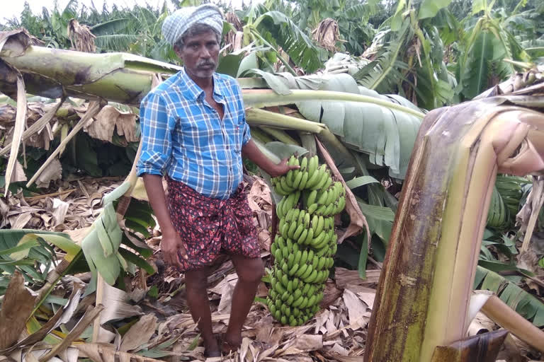 crop lossed farmers by the rains