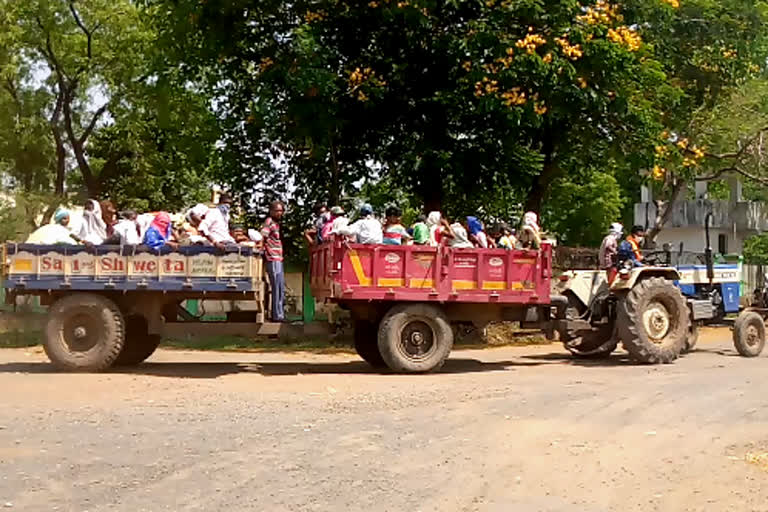 laborers coming from Telangana to Chandrapur