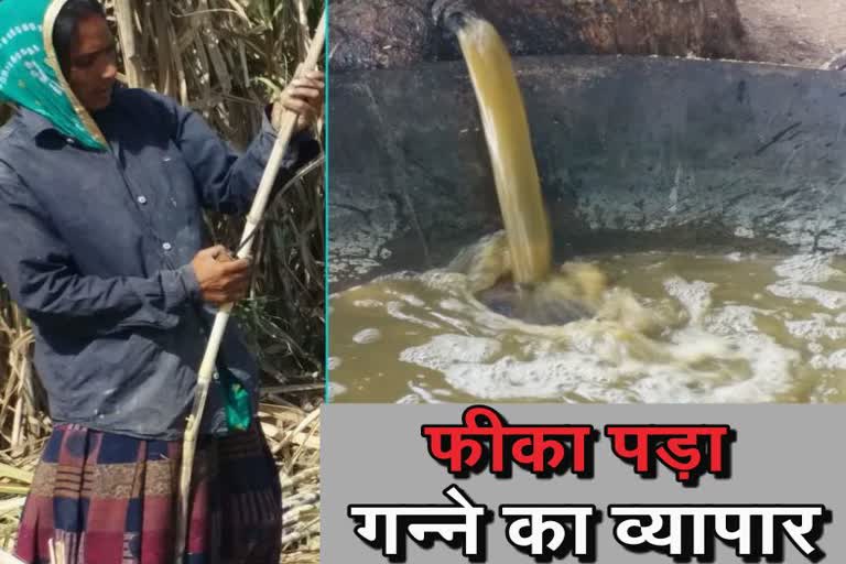 bundi latest news, राजस्थान में लॉकडाउन के प्रभाव, lockdown effect in rajasthan, Sugarcane farming affected by lockdown