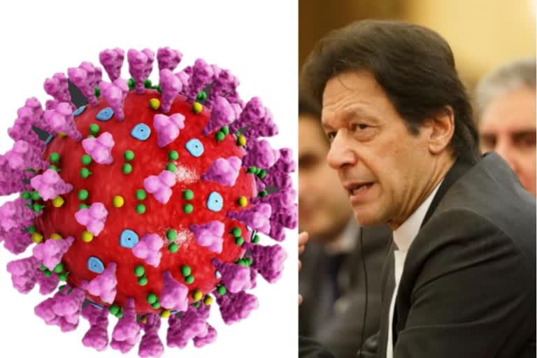 we may have to live with the coronavirus for six months or  a year : Pak PM