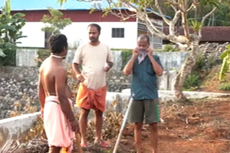 LOCKDOWN  YOUTH FARMING  ലോക്ക് ഡൗണ്  വിരസത  പച്ചക്കറി കൃഷി  യുവാക്കൾ  വെള്ളിലപെട്ടി  ക്ഷേത്രത്തിൽ തിരകൊഴിഞ്ഞതോടെ