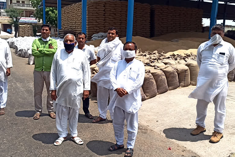 traders angry on gst on mustard purchase in charkhidadri