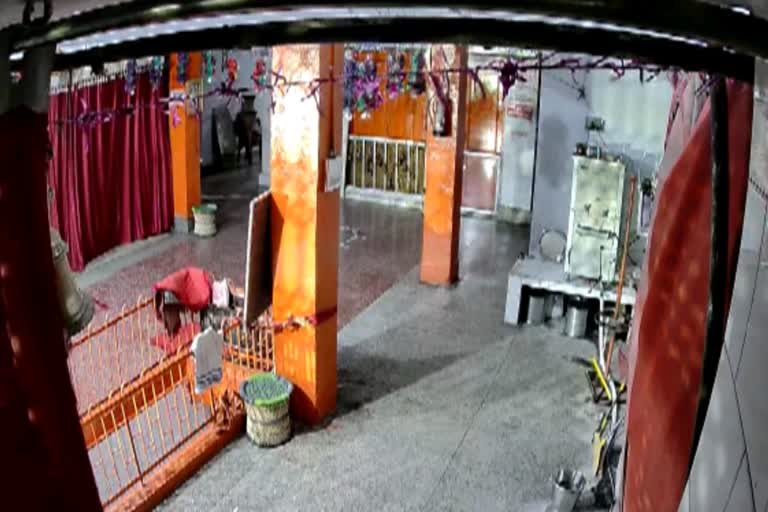 thieves stole donation box in temple of gurugram