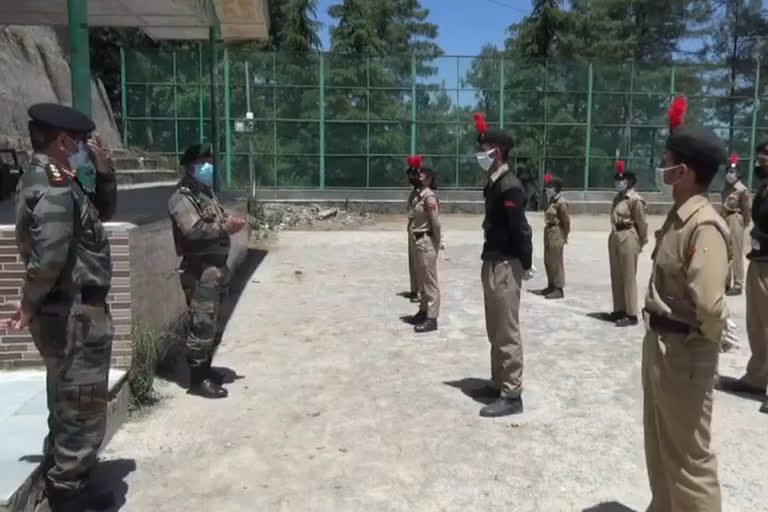 shimla ncc cadet in corona