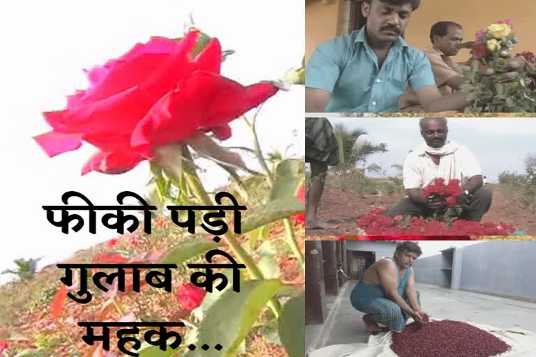 लॉकडाउन का प्रभाव, lockdown effect, corona effect in rajasthan, राजस्थान में कोरोना का प्रभाव