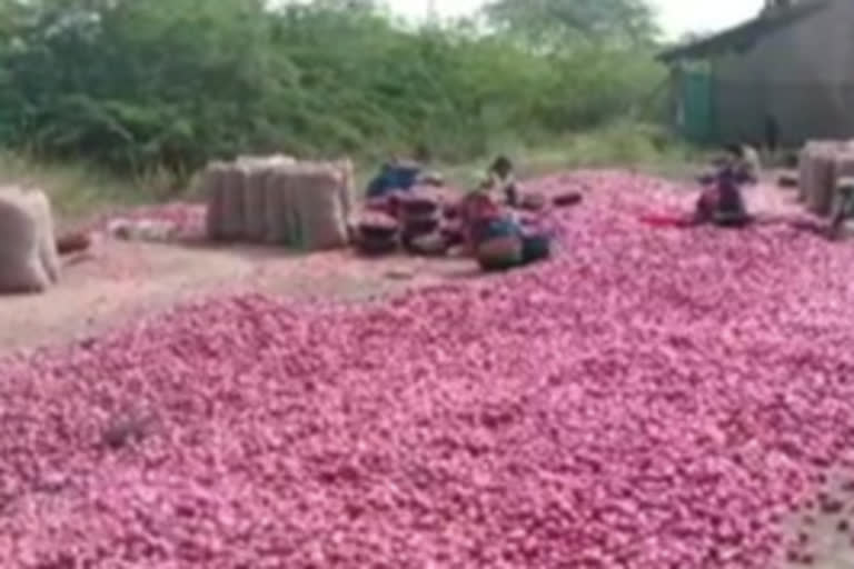 Onion farmers in Nashik