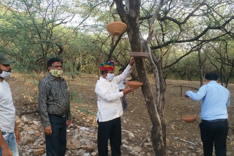 jaipur news, Parinda lagao, Parinda for birds