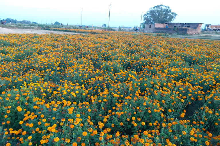 bhojpur