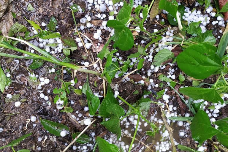 hailstorm